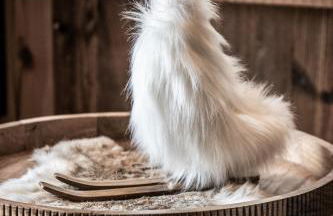 Apartment Brume Megève - by EMERALD STAY - Photo 40