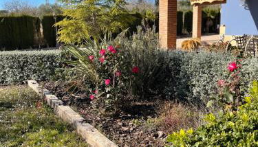 Attic Nature en Albacete - Foto 2