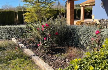 Attic Nature en Albacete - Foto 2