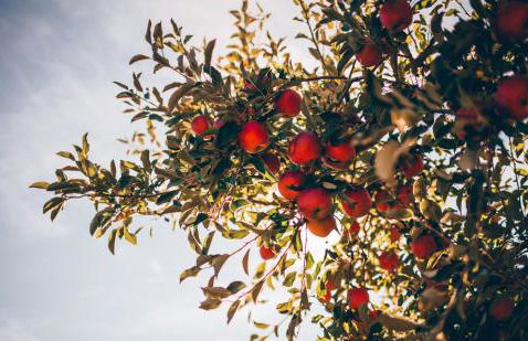 Fairfield Cottage -Top Rated Gem, Fire Pit, Near Beach, 90 Min to NYC - Foto 49