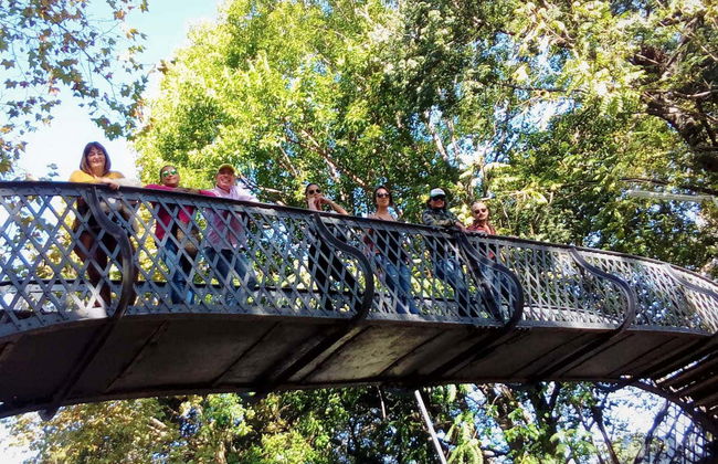 Tour por Coghlan - Foto 7