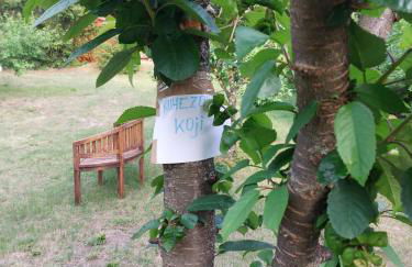 Eichberg Ferienhäuser - Foto 24