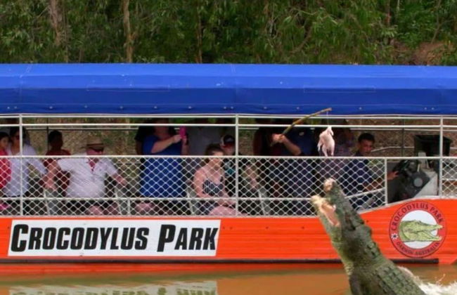 Nightcliff Foreshore Pool Outdoor Dining BBQ - Foto 29