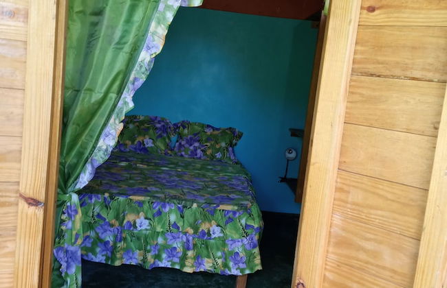 Berkey's Jungle Paradise - Photo 9