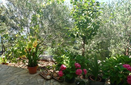 Studio MARE -30 m from a lonely beach - Photo 23