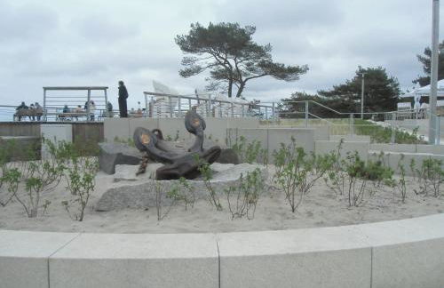 Tor zum Darss - Foto 39