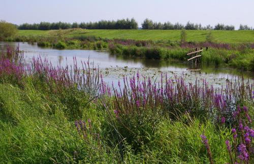 Ferienwohnung "Erika" Rees am Niederrhein - Foto 46