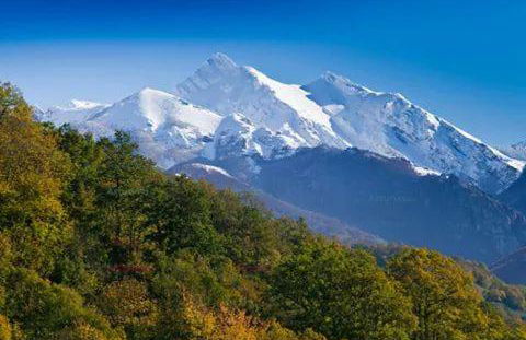 Casa Cuevas - Foto 19