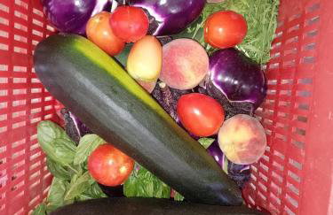 Villa Nonna Anna a Plemmirio - Foto 18