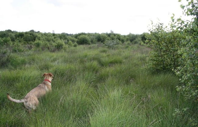 Scenic Villa Near Lake View - Photo 53