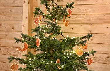 Dom Miłomłyn - Foto 47