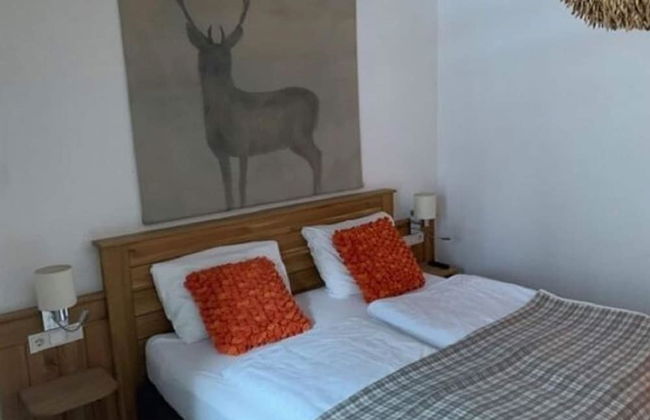 Ski In, Ski Out in Saalbach near Zell am See Xpress - Foto 3