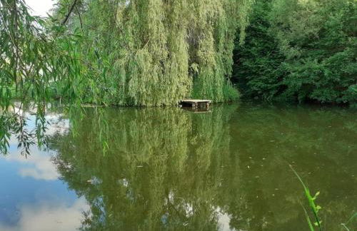 Welcoming Bungalows in Neustadt - Foto 58