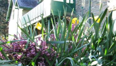 Auchmore Apartments - Foto 2