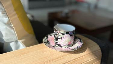 SunnyF2- EuroAiport-Basel-TrainStation-CityCenter - Foto 5