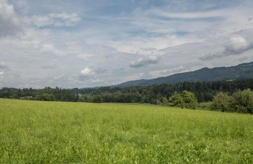 Casa Rindler - Photo 11