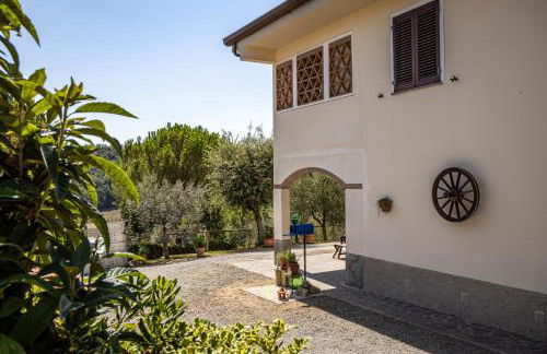 Sole Verde green house - Foto 16