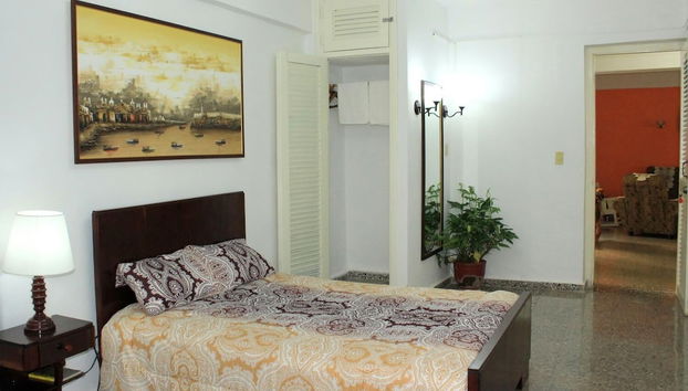 Apartment in Havana with garden and terrace - Foto 4