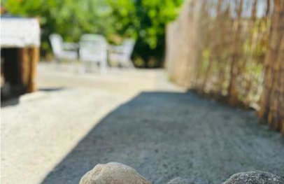 Sofia's house - Foto 6