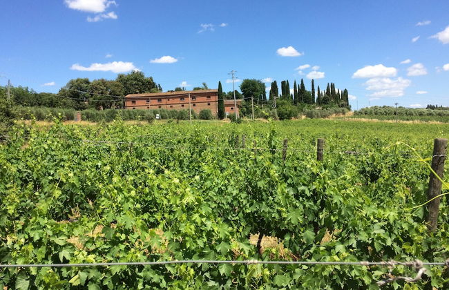 Fattoria Santa Vittoria Apartment Gazza - Foto 29