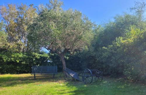 Rifugio della Pace Piano terra e Primo Piano - Photo 37