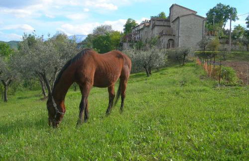 Agriturismo Borgo San Martino - Photo 27