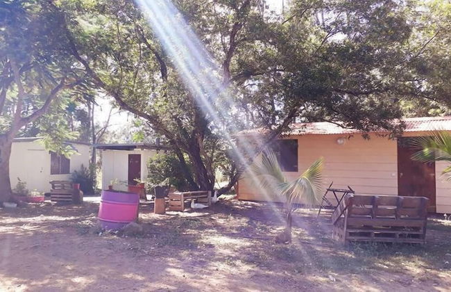 La Petite Ferme - Foto 23