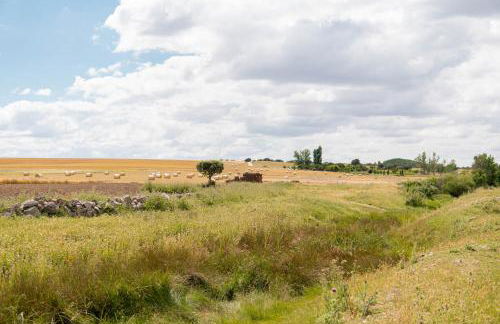 LA CASA DEL BUHO - Foto 22