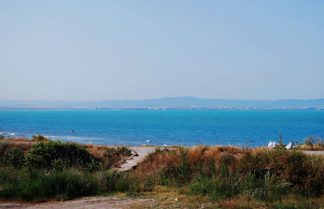 Dune Beach Boutique Hotel - Foto 5