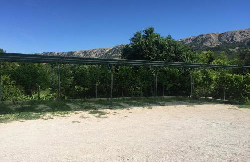 Apartments Juranic I - Photo 25