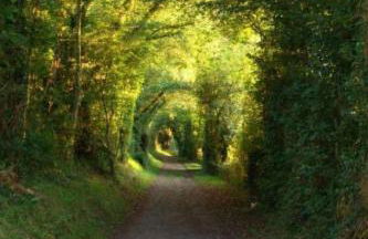 Holiday Home Fachwerkhaus La Longère Escapade Normande by Interhome - Photo 39