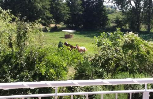 Haus Rosengarten- Ruhige Ferienwohnungen im Grünen - Foto 18