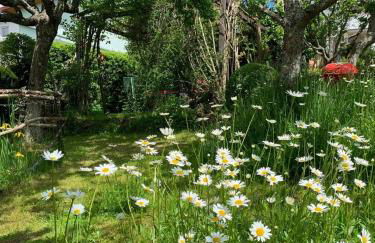 Ferienwohnung am Obstgarten - Foto 16