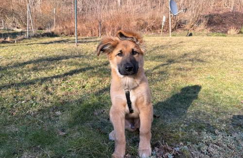 Naturhof Kluge - Foto 63