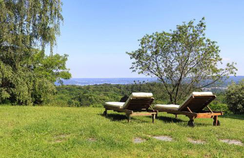 Villa Tudor - Beautiful large villa amidst lush green nature! - Foto 17