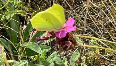 Ferienwohnung Aussicht, Monheimer Alb, Altmühltal - Foto 2
