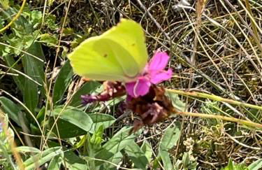 Ferienwohnung Aussicht, Monheimer Alb, Altmühltal - Foto 2