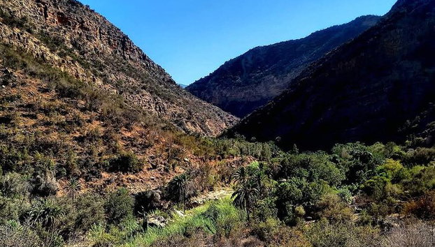 Tour di 2 giorni e 1 notte a Tafraoute e Canyon di Ait Mansour - Foto 3