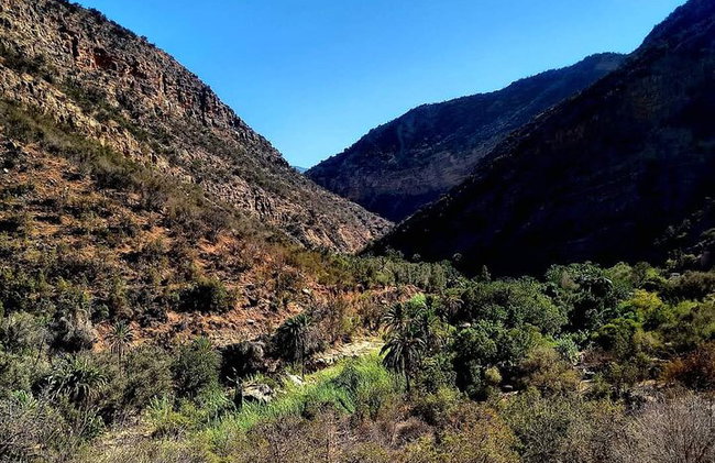 Tour de 2 días y 1 noche en Tafraoute y Cañón de Ait Mansour - Foto 3