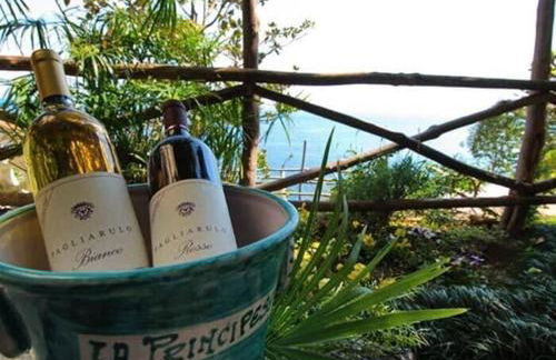 Villa Principessa Pool and Sea Access by Amalfivacation - Foto 35