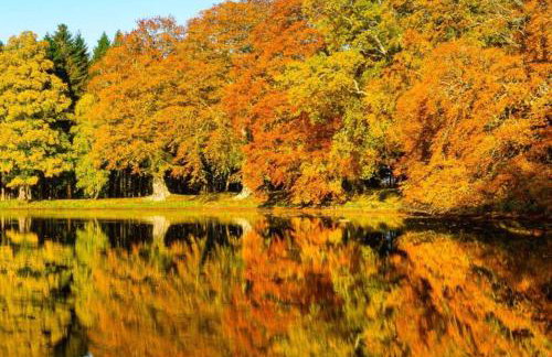 Garden Cottage, Fochabers - Foto 20