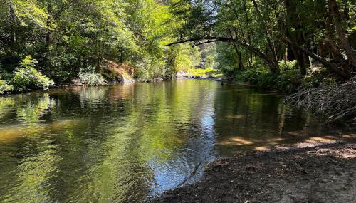 Rustic River Retreat - Foto 2