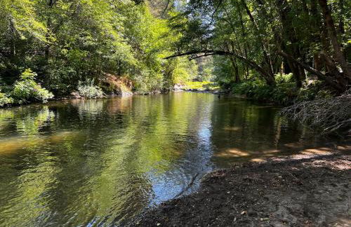 Rustic River Retreat - Foto 2