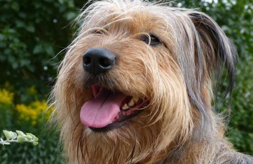 Fewo Rheinwein 1 "ausgezeichnet zum wandern und radfahren" mit Wallbox - Foto 23