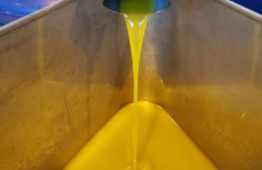 Villetta Il Faro sul Mare - Photo 68