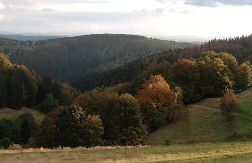 Family Comfort in Güntersberge - Foto 25