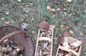 Ferienwohnung Zossen Gästehaus - Foto 18