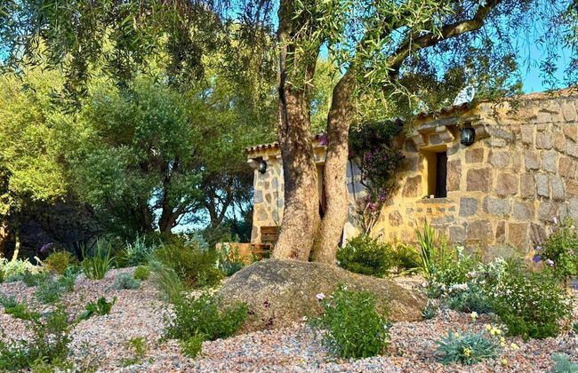 Lu Pastruccialeddu - Foto 49