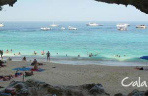 Mussilimbrosu - Photo 18