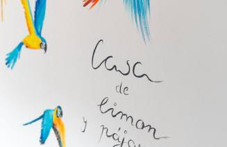 Casa de Limon - Foto 60